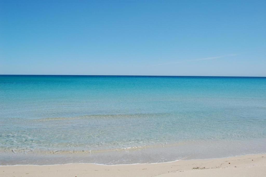 Dimora Brezza Di Mare Apartment Termoli Bagian luar foto